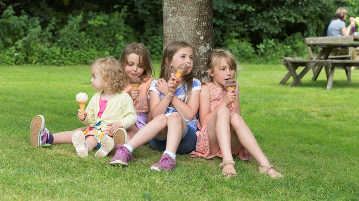 Four young girls sat down on the grass leaning on a tree, each eating an ice cream in a cone.